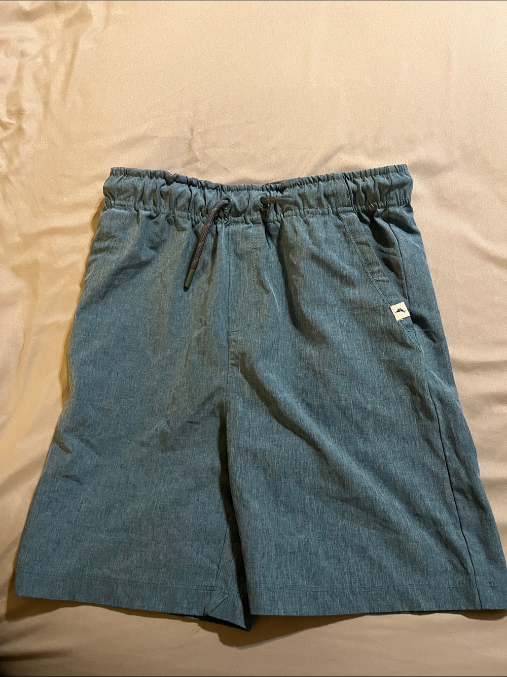 Tommy Bahama Kids Elastic Drawstring Shorts - Teal